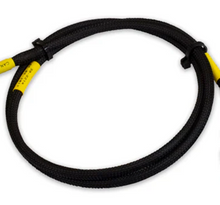 Load image into Gallery viewer, AEM CD-7/CD-7L Plug and Play Adapter Harness for Holley EFI