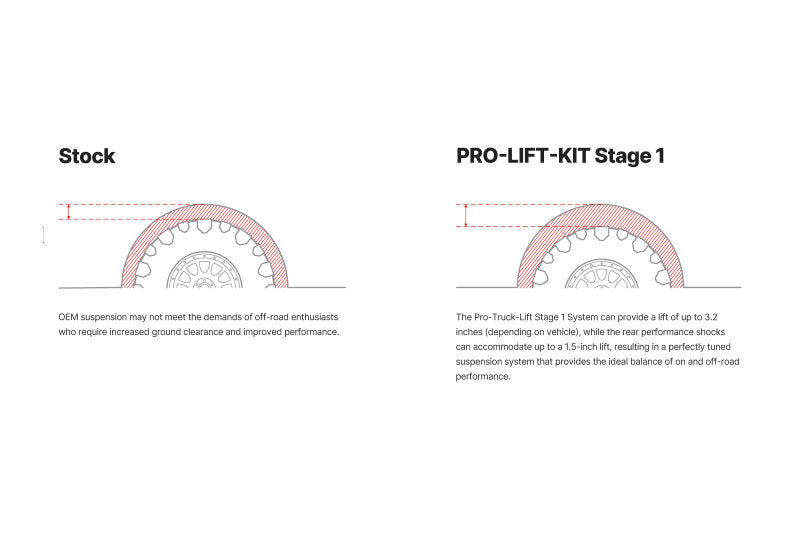Eibach 18-20 Ford F-150 2WD (Diesel) PRO-Truck Lift System (Stage 1)