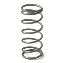 Load image into Gallery viewer, GFB EX50 9psi Wastegate Spring (Middle)